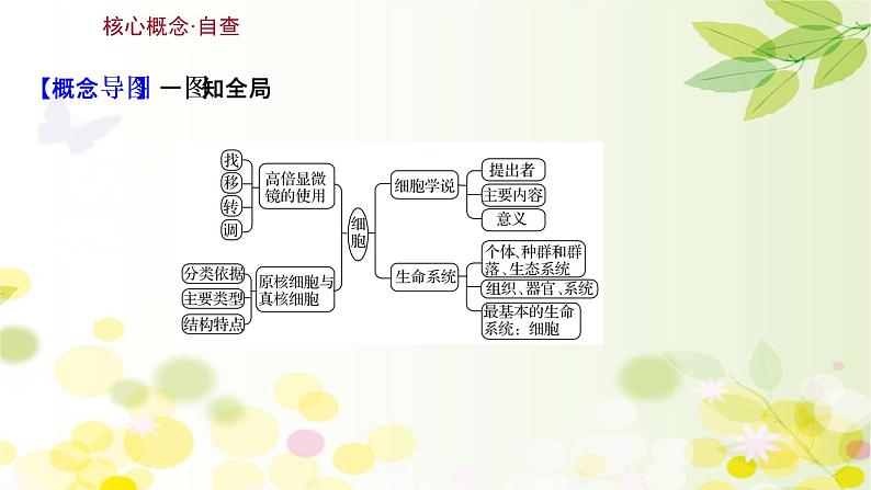 高中生物2022届新教材一轮复习人教版 第一单元 第1课 走 近 ϸ 胞 课件第3页