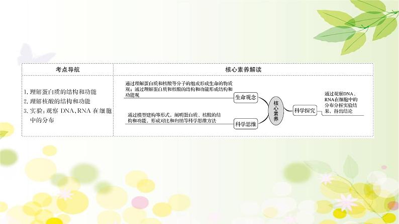 高中生物2022届新教材一轮复习人教版 第一单元 第3课 蛋白质和核酸 课件02