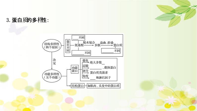 高中生物2022届新教材一轮复习人教版 第一单元 第3课 蛋白质和核酸 课件06