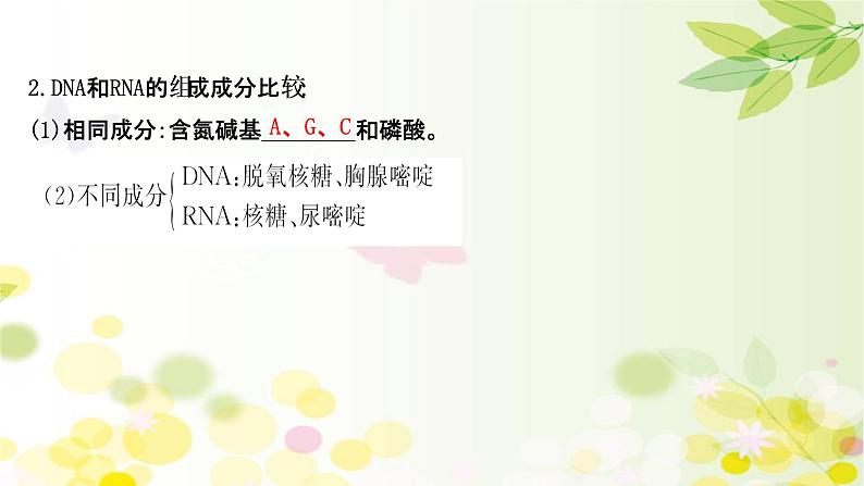 高中生物2022届新教材一轮复习人教版 第一单元 第3课 蛋白质和核酸 课件08