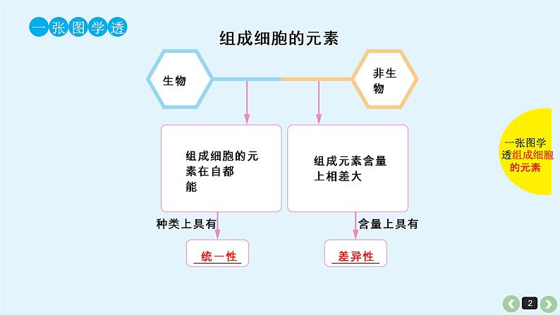 高中生物高考生物（全国版）一轮复习课件：第1课-细胞中的元素、化合物和细胞中的无机物第2页