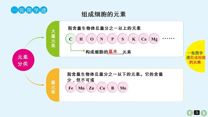 高中生物高考生物（全国版）一轮复习课件：第1课-细胞中的元素、化合物和细胞中的无机物第3页