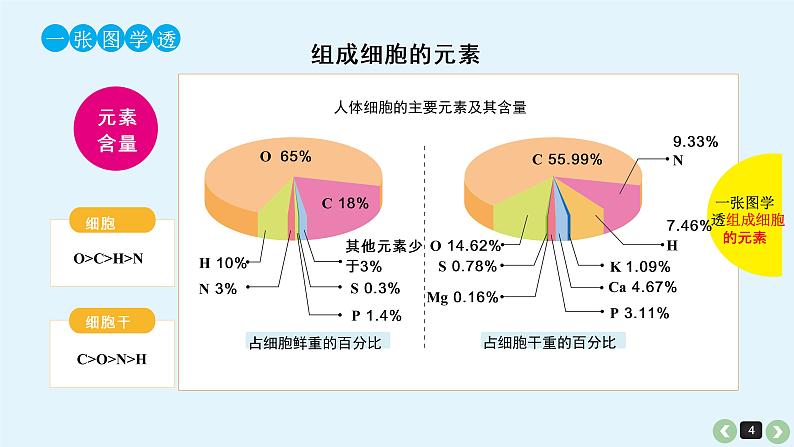 高中生物高考生物（全国版）一轮复习课件：第1课-细胞中的元素、化合物和细胞中的无机物第4页