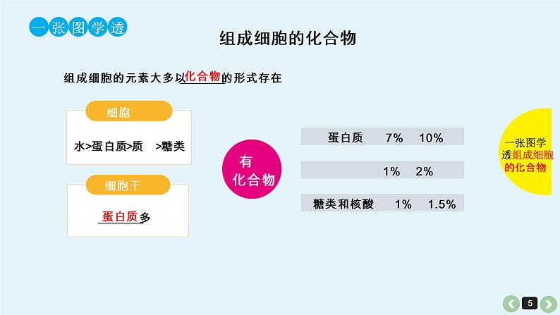 高中生物高考生物（全国版）一轮复习课件：第1课-细胞中的元素、化合物和细胞中的无机物第5页