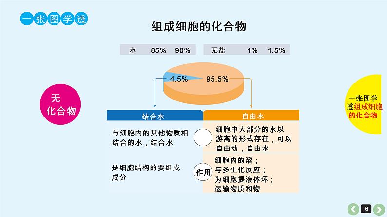 高中生物高考生物（全国版）一轮复习课件：第1课-细胞中的元素、化合物和细胞中的无机物第6页