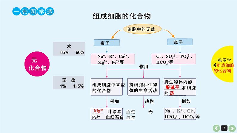 高中生物高考生物（全国版）一轮复习课件：第1课-细胞中的元素、化合物和细胞中的无机物第7页