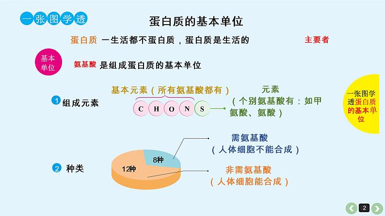 高中生物高考生物（全国版）一轮复习课件：第2课-蛋白质第2页