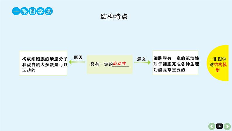 高中生物高考生物（全国版）一轮复习课件：第6课-细胞膜第4页