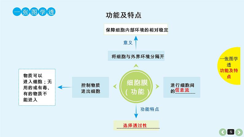 高中生物高考生物（全国版）一轮复习课件：第6课-细胞膜第5页