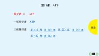 高中生物高考生物（全国版）一轮复习课件：第11课-ATP