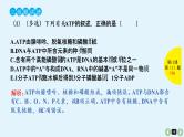 高中生物高考生物（全国版）一轮复习课件：第11课-ATP