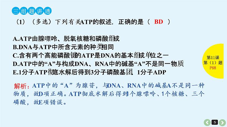 高中生物高考生物（全国版）一轮复习课件：第11课-ATP第5页