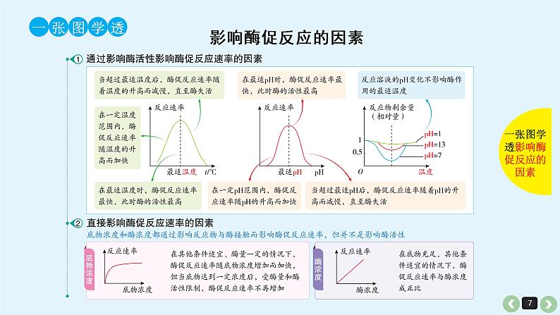 高中生物高考生物（全国版）一轮复习课件：第10课-酶第7页