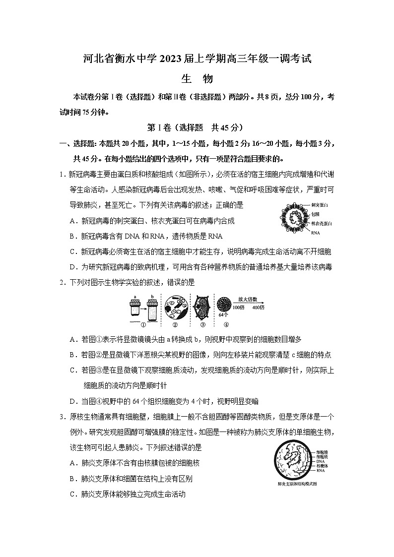 2023衡水中学高三上学期一调考试（一模）生物含解析01