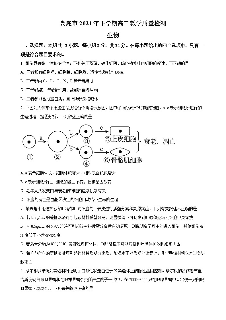 2022娄底高三上学期期末生物含解析 试卷01