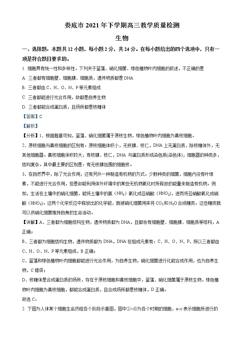 2022娄底高三上学期期末生物含解析 试卷01