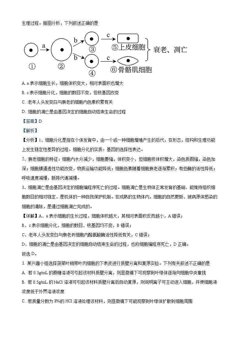 2022娄底高三上学期期末生物含解析 试卷02