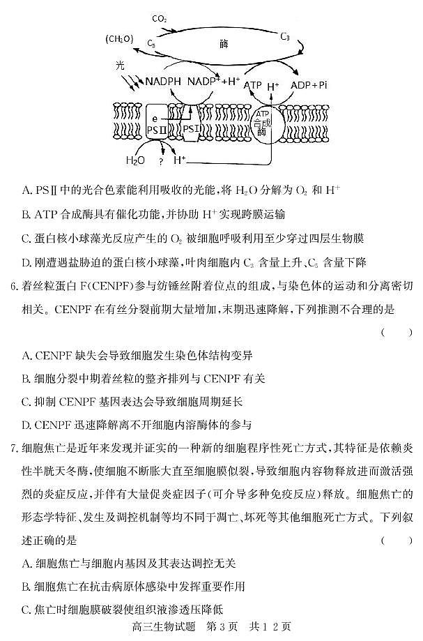 山东省济宁市泗水县2023届高三上学期期中考试生物试题第3页