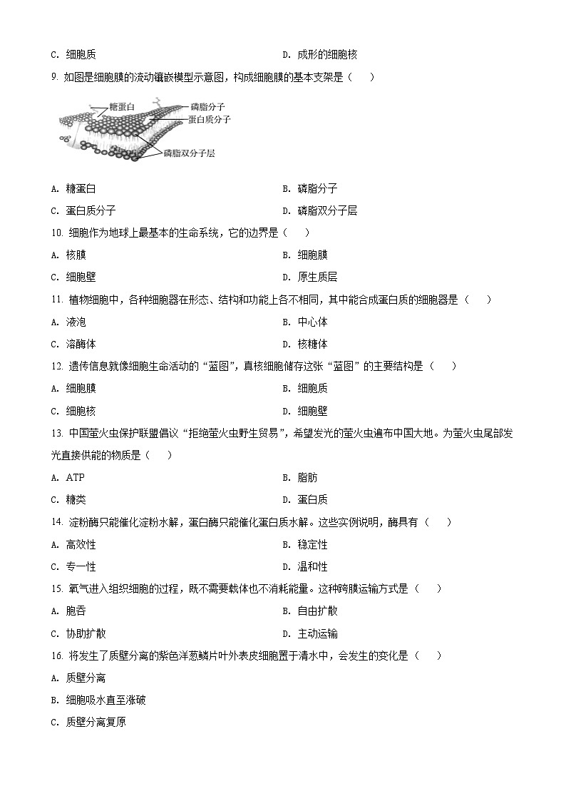 山东省济南第十一中学2023届高三上学期期中考试生物试题第2页