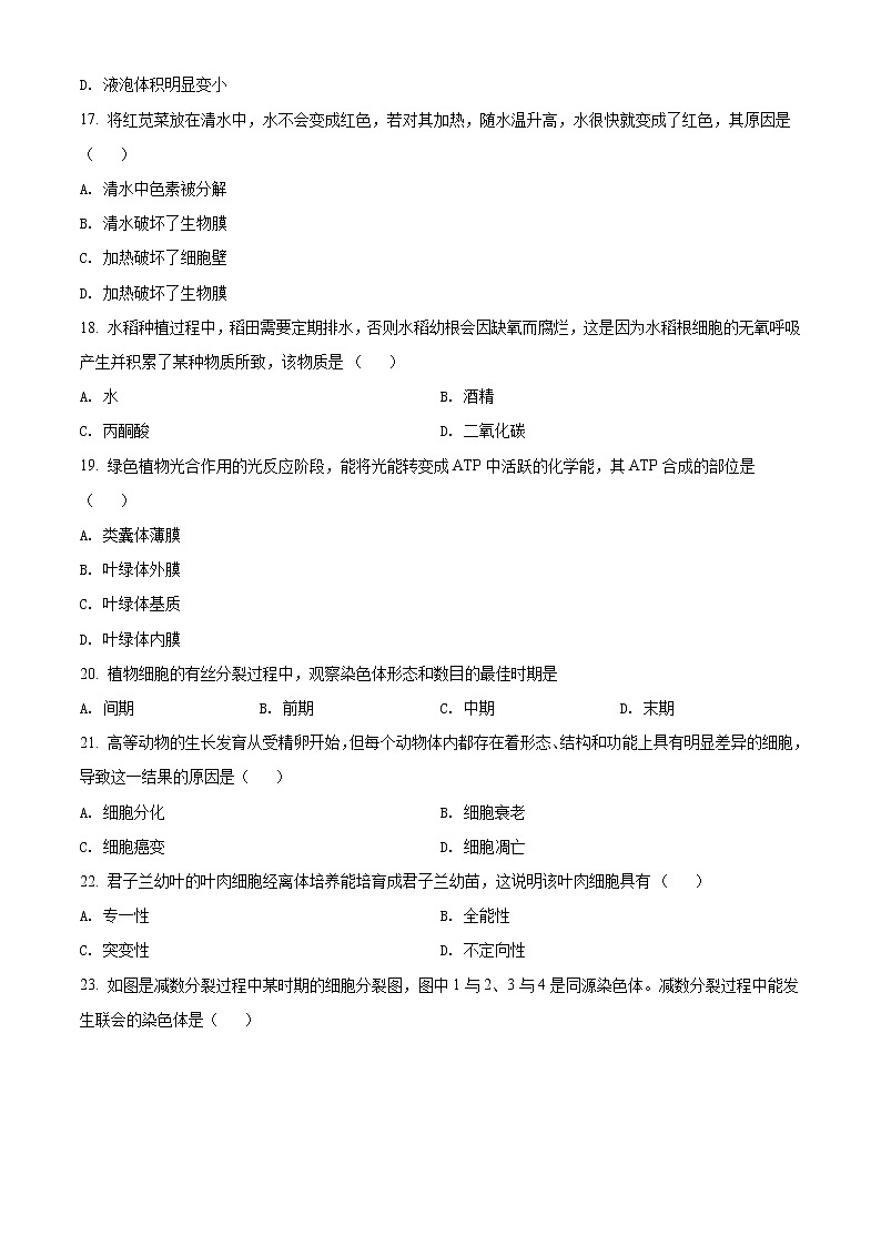 山东省济南第十一中学2023届高三上学期期中考试生物试题第3页