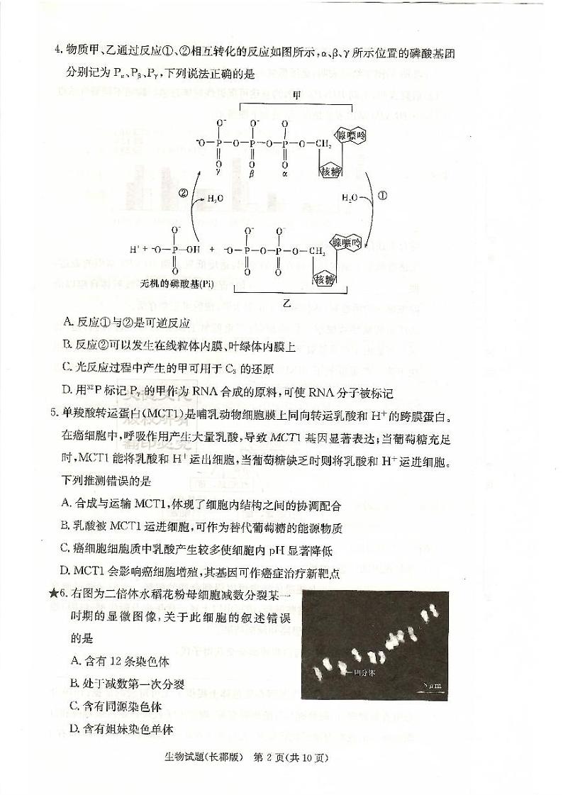 湖南省长沙市长郡中学2022-2023学年高三上学期第三次月考生物试题第2页