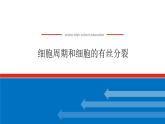 2023高考生物(统考版)复习课件 必修①第四单元1细胞周期和细胞的有丝分裂