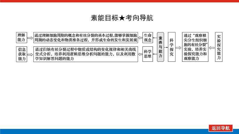 2023高考生物(统考版)复习课件 必修①第四单元1细胞周期和细胞的有丝分裂第4页