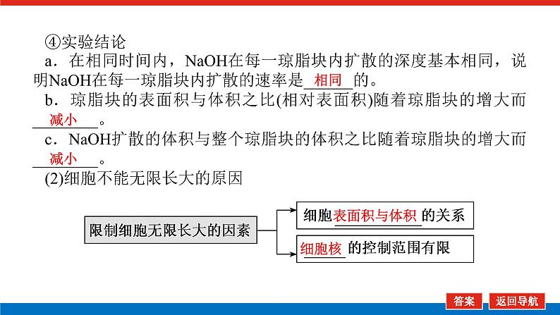 2023高考生物(统考版)复习课件 必修①第四单元1细胞周期和细胞的有丝分裂第7页