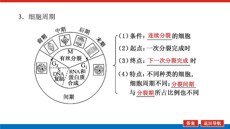 2023高考生物(统考版)复习课件 必修①第四单元1细胞周期和细胞的有丝分裂第8页