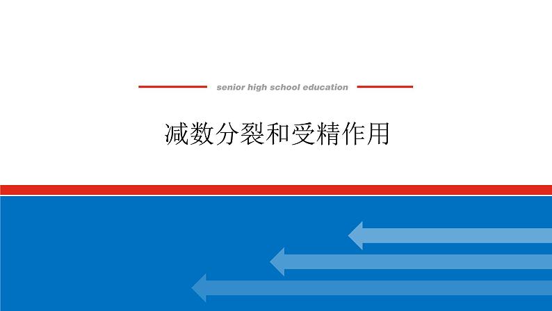 2023高考生物(统考版)复习课件 必修①第四单元2减数分裂和受精作用第1页