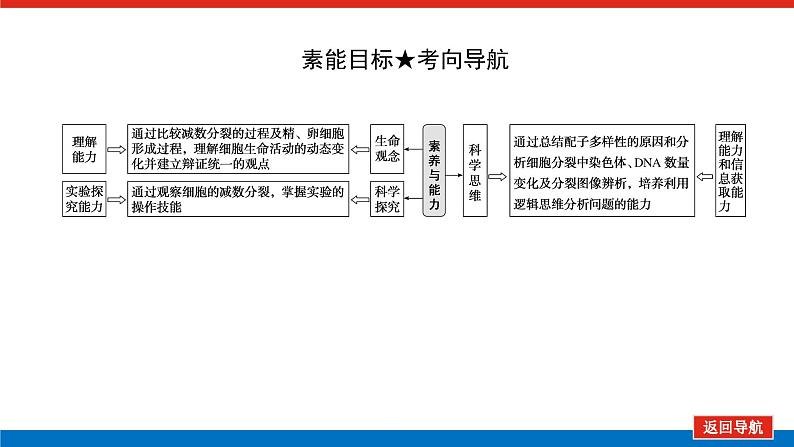 2023高考生物(统考版)复习课件 必修①第四单元2减数分裂和受精作用第4页