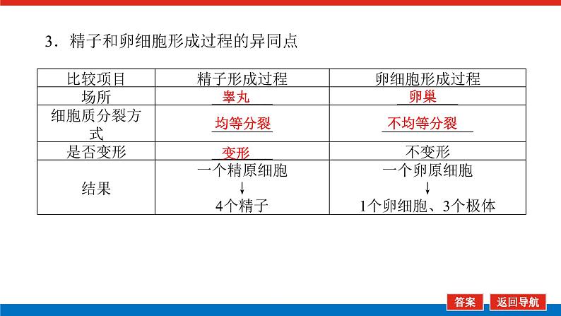 2023高考生物(统考版)复习课件 必修①第四单元2减数分裂和受精作用第8页