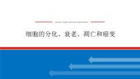 2023高考生物(统考版)复习课件 必修①第四单元3细胞的分化、衰老、凋亡和癌变