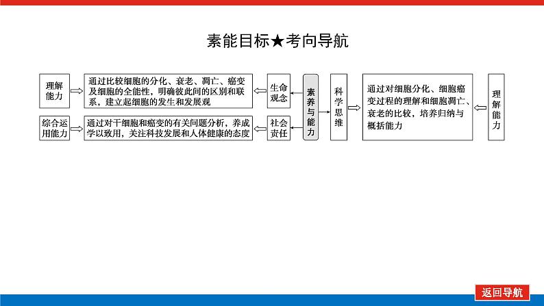 2023高考生物(统考版)复习课件 必修①第四单元3细胞的分化、衰老、凋亡和癌变第4页