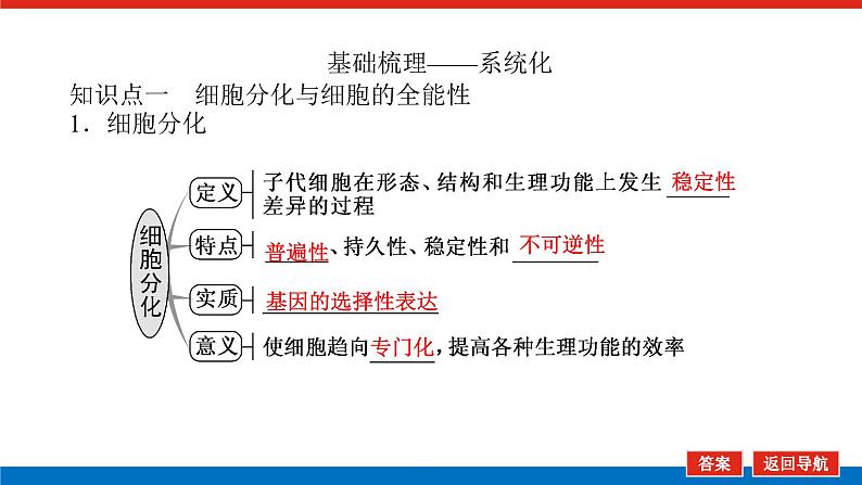 2023高考生物(统考版)复习课件 必修①第四单元3细胞的分化、衰老、凋亡和癌变第5页