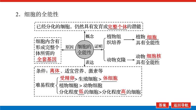 2023高考生物(统考版)复习课件 必修①第四单元3细胞的分化、衰老、凋亡和癌变第6页