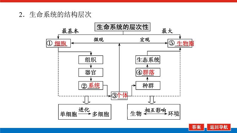 2023高考生物(统考版)复习课件 必修①第一单元1借助显微镜 走近细胞06