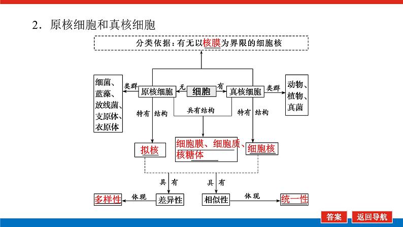 2023高考生物(统考版)复习课件 必修①第一单元1借助显微镜 走近细胞08