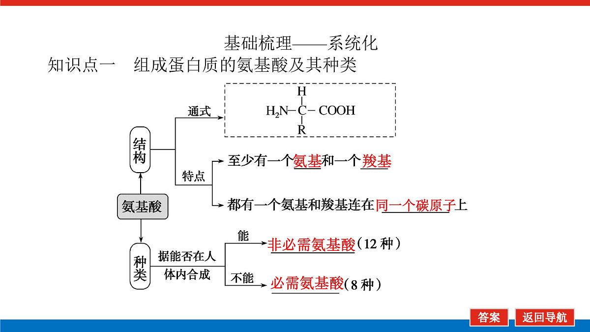 2023高考生物(统考版)复习课件 必修①第一单元3生命活动的主要承担者——蛋白质第5页