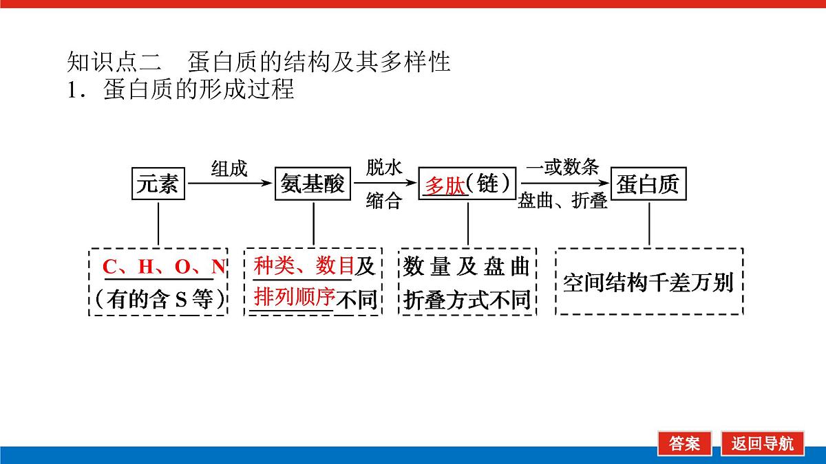 2023高考生物(统考版)复习课件 必修①第一单元3生命活动的主要承担者——蛋白质第6页