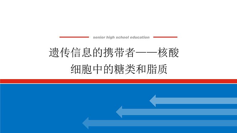 2023高考生物(统考版)复习课件 必修①第一单元4遗传信息的携带者——核酸细胞中的糖类和脂质第1页