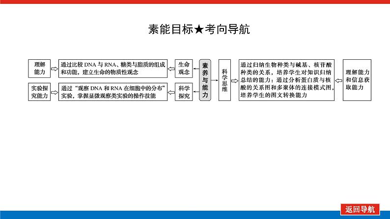 2023高考生物(统考版)复习课件 必修①第一单元4遗传信息的携带者——核酸细胞中的糖类和脂质第4页