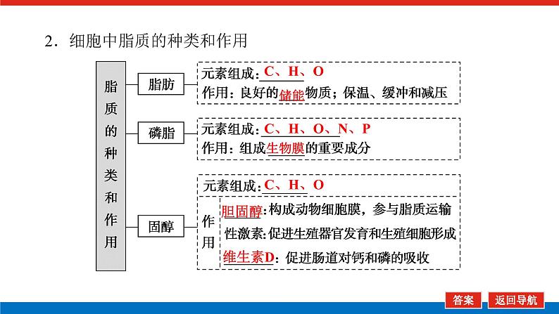 2023高考生物(统考版)复习课件 必修①第一单元4遗传信息的携带者——核酸细胞中的糖类和脂质第7页