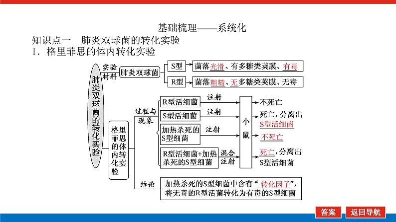 2023高考生物(统考版)复习课件 必修②第二单元1遗传物质的经典探究实验第5页