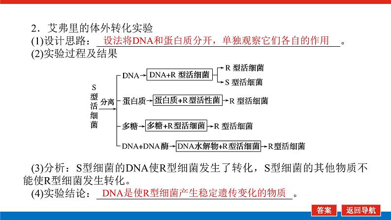 2023高考生物(统考版)复习课件 必修②第二单元1遗传物质的经典探究实验第6页