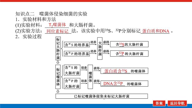 2023高考生物(统考版)复习课件 必修②第二单元1遗传物质的经典探究实验第7页