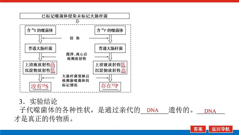 2023高考生物(统考版)复习课件 必修②第二单元1遗传物质的经典探究实验第8页