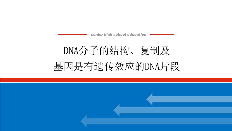 2023高考生物(统考版)复习课件 必修②第二单元2DNA分子的结构、复制及基因是有遗传效应的DNA片段第1页