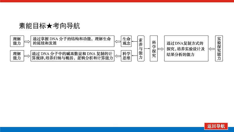 2023高考生物(统考版)复习课件 必修②第二单元2DNA分子的结构、复制及基因是有遗传效应的DNA片段第4页