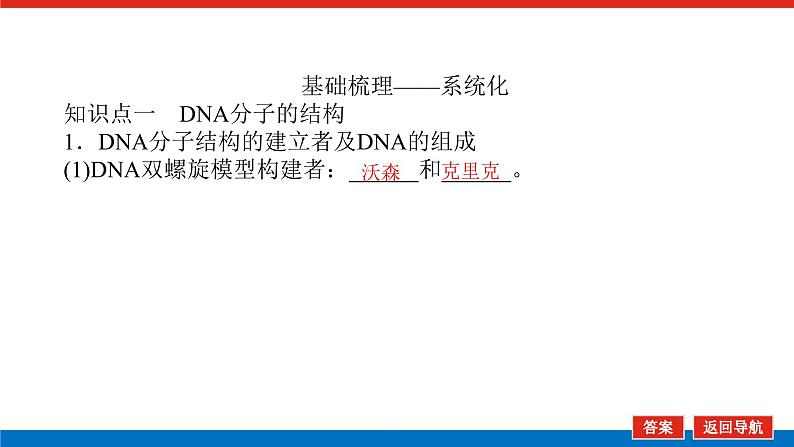 2023高考生物(统考版)复习课件 必修②第二单元2DNA分子的结构、复制及基因是有遗传效应的DNA片段第5页